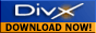 DivX Codec Download (Versione attuale 5.0.1)